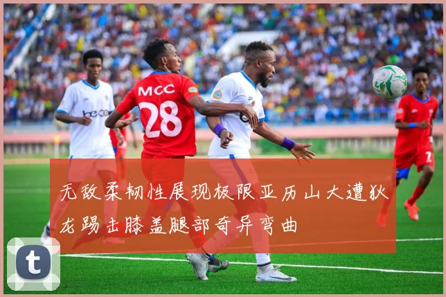 无敌柔韧性展现极限亚历山大遭狄龙踢击膝盖腿部奇异弯曲
