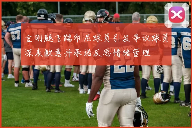 金刚腿飞踹印尼球员引发争议球员深表歉意并承诺反思情绪管理