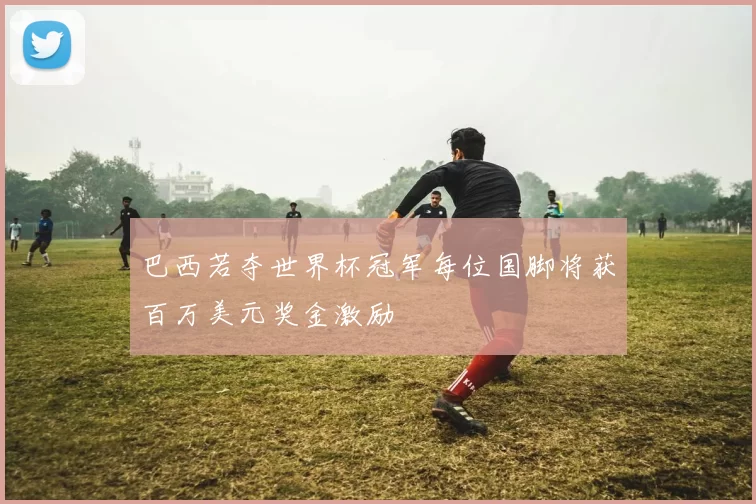 巴西若夺世界杯冠军每位国脚将获百万美元奖金激励