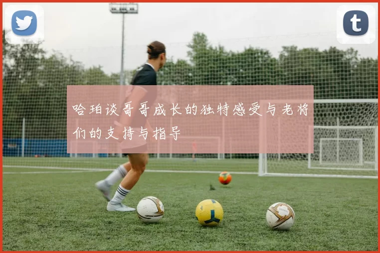 哈珀谈哥哥成长的独特感受与老将们的支持与指导